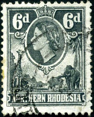 Rodesia do Norte (Protetorado Britanico) - 1953 - Rainha Isabel II e Animais - 6D