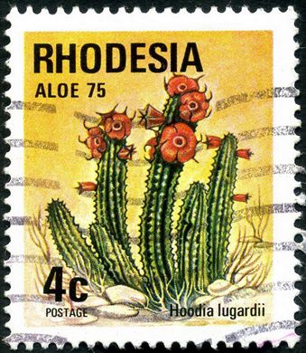 Rodesia - 1975 - Aloe 75 - 4C