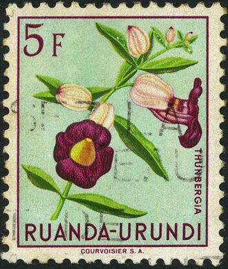 Ruanda-Urundi (Tutela Belga) - 1953 - Flora - 5F