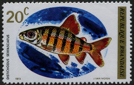 Ruanda - 1973 - Peixes - 20C