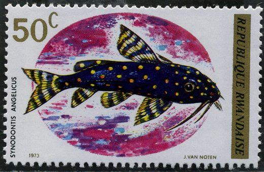 Ruanda - 1973 - Peixes - 50C
