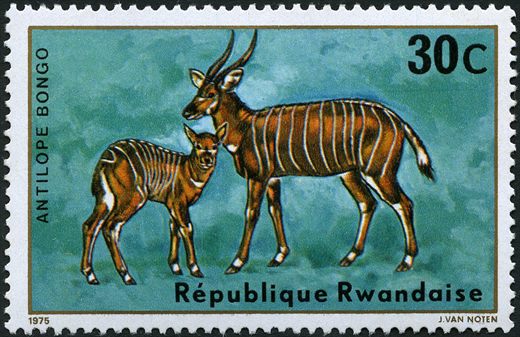 Ruanda - 1975 - Fauna - 30C