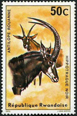 Ruanda - 1975 - Fauna - 50C