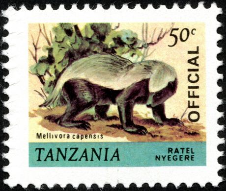 Tanzania - 1980 - Fauna Oficial - 50C