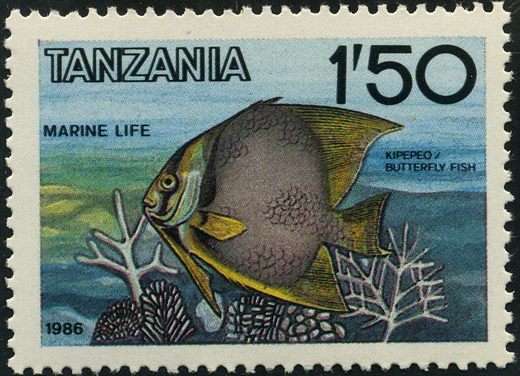 Tanzania - 1986 - Vida Marinha - 1Sh50