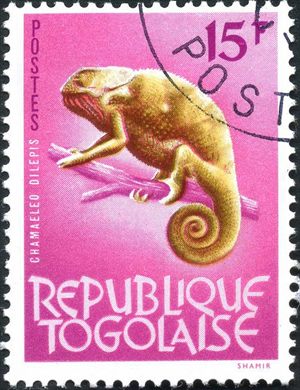 Togo - 1964 - Flora e Fauna - 15F