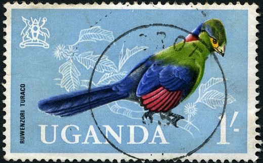 Uganda - 1965 - Aves - 1Sh