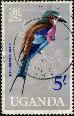 Uganda - 1965 - Aves - 5Sh