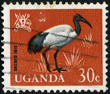 Uganda - 1965 - Aves - 30C