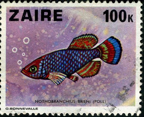 Zaire - 1978 - Peixes - 100K