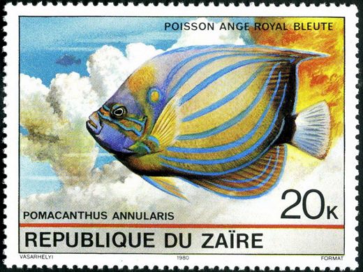 Zaire - 1980 - Peixes - 20K