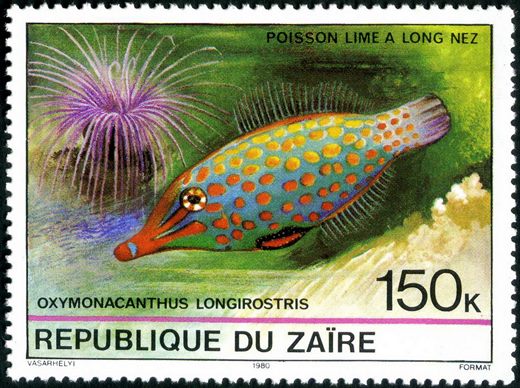 Zaire - 1980 - Peixes - 150K