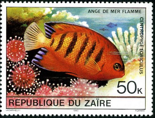 Zaire - 1980 - Peixes - 50K