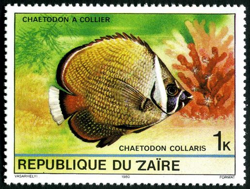 Zaire - 1980 - Peixes - 1K