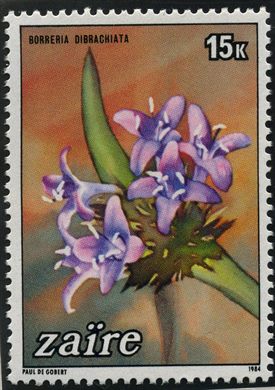 Zaire - 1984 - Flora - 15K