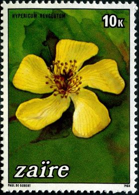 Zaire - 1984 - Flora - 10K