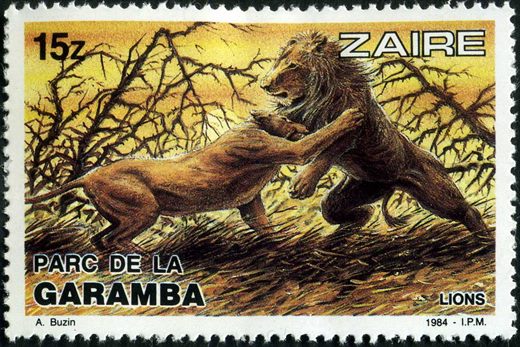 Zaire - 1984 - Parque da Garamba - 15Z