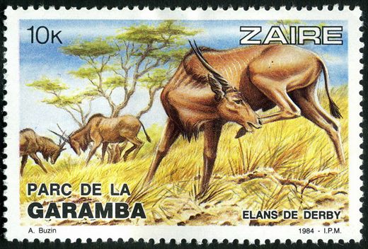 Zaire - 1984 - Parque da Garamba - 10K