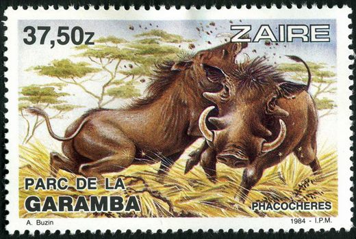 Zaire - 1984 - Parque da Garamba - 37Z50
