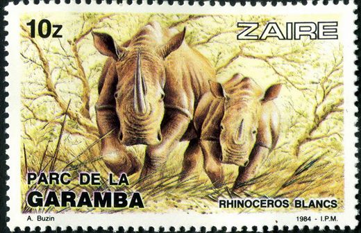 Zaire - 1984 - Parque da Garamba - 10Z