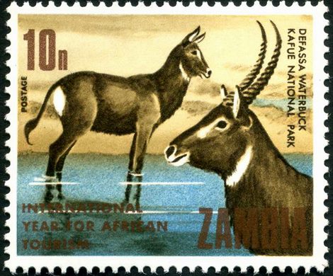 Zambia - 1969 - Ano Internacional Turismo Africano - 10N