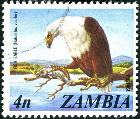 Zambia - 1975 - Definitiva - 4N