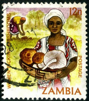 Zambia - 1981 - Definitiva - 12N