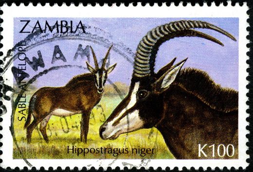 Zambia - 1994 - Fauna - K100
