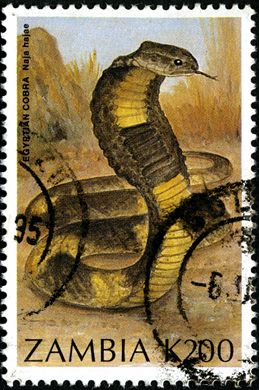 Zambia - 1996 - Repteis - K200
