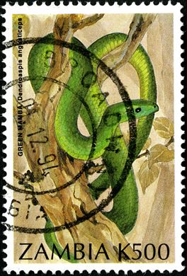 Zambia - 1996 - Repteis - K500
