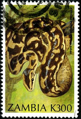 Zambia - 1996 - Repteis - K300