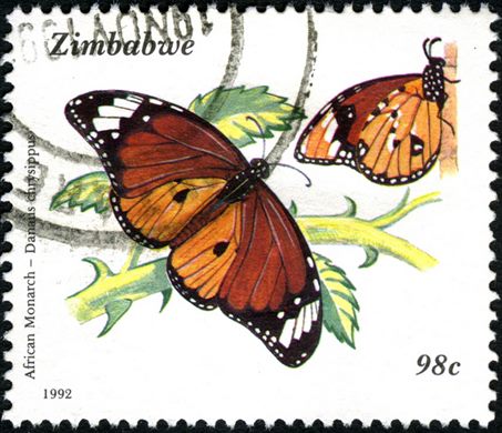 Zimbabwe - 1992 - Borboletas - 98C