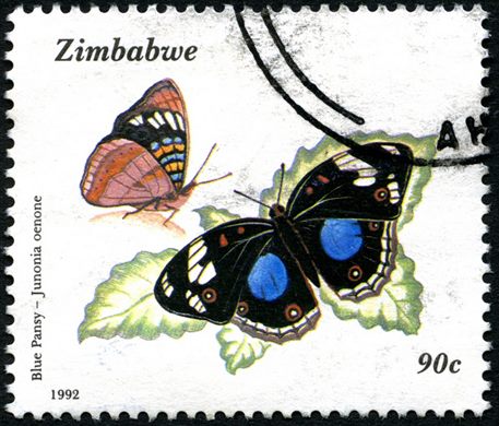 Zimbabwe - 1992 - Borboletas - 90C