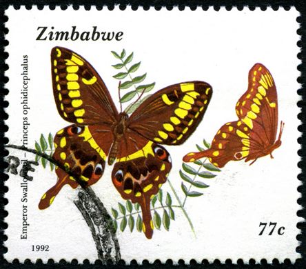 Zimbabwe - 1992 - Borboletas - 77C