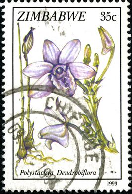 Zimbabwe - 1993 - Flora - 35C