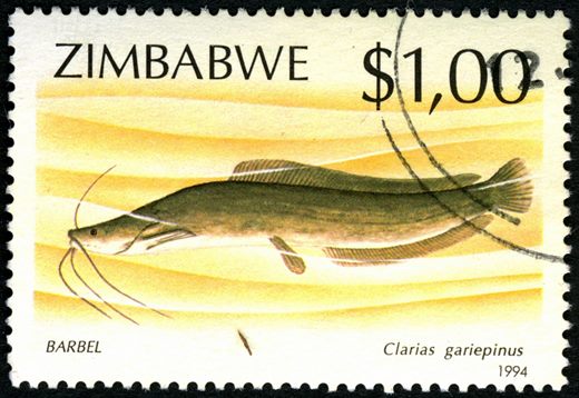 Zimbabwe - 1994 - Peixes - 1Dol