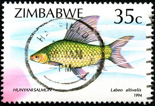 Zimbabwe - 1994 - Peixes - 35C