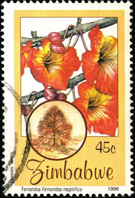 Zimbabwe - 1996 - Flora - 45C