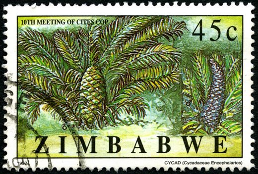 Zimbabwe - 1997 - CITES 10a Conferencia - 45C