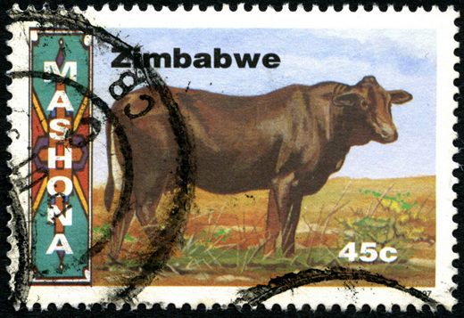 Zimbabwe - 1997 - Racas Bovinas - 45C