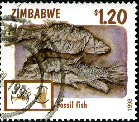 Zimbabwe - 1998 - Paleontologia - 1Dol20