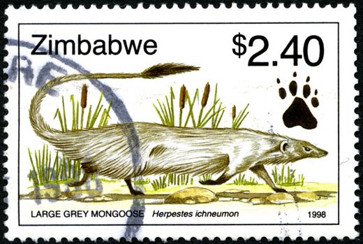 Zimbabwe - 1998 - Fauna - 2Dol40