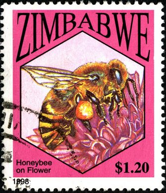Zimbabwe - 1998 - Fauna - 1Dol20