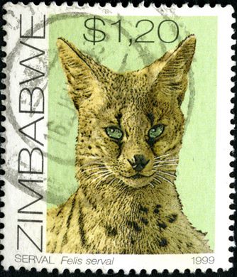 Zimbabwe - 1999 - Fauna - 1Dol20