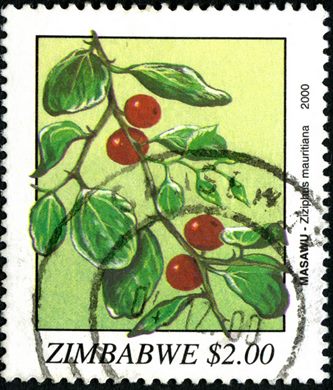 Zimbabwe - 2000 - Flora - 2Dol