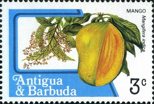 Antigua e Barbuda - 1983 - Frutas e Flores - 3C