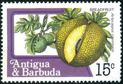 Antigua e Barbuda - 1983 - Frutas e Flores - 15C
