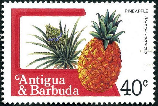 Antigua e Barbuda - 1983 - Frutas e Flores - 40C