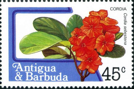 Antigua e Barbuda - 1983 - Frutas e Flores - 45C