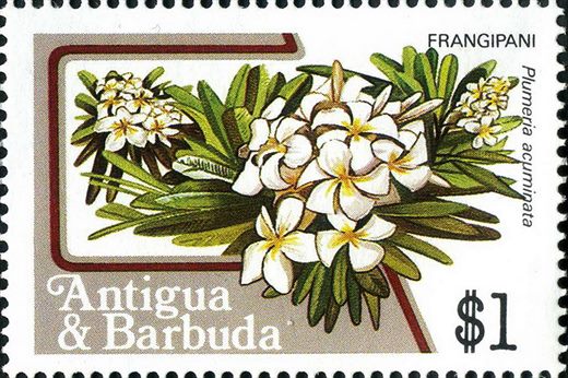 Antigua e Barbuda - 1983 - Frutas e Flores - 1Dol